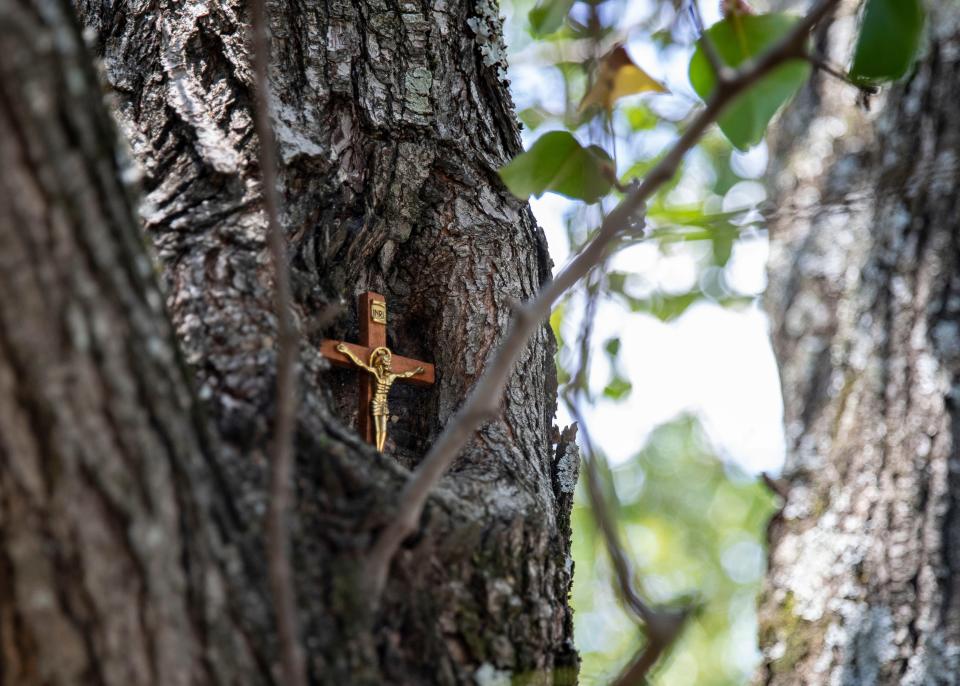 A cross is seen tucked into the trunk of a tree.