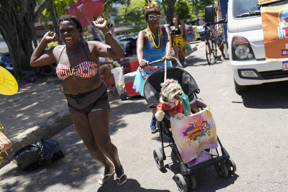 A woman pushes her dog in a carriage during the "Blocao" dog Carnival parade in Rio de Janeiro, Brazil, Saturday, Feb.10, 2024. (AP Photo/Silvia Izquierdo)