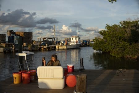 The Wider Image: The race to save the coral of the Caribbean