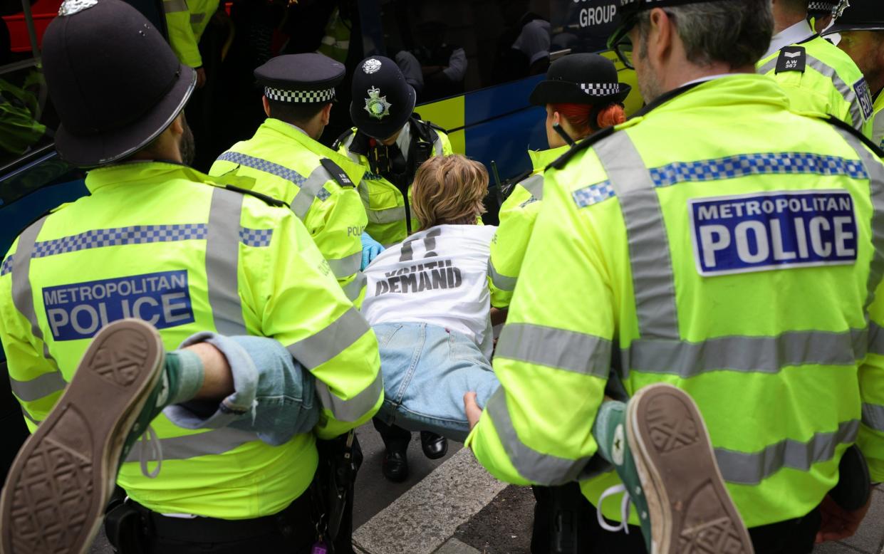 Police carried an activist away from a large group of pro-Palestinian demonstrators in central London