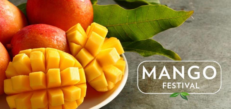 Festival del Mango: Una celebración del rey de las frutas tropicales en el Fairchild.