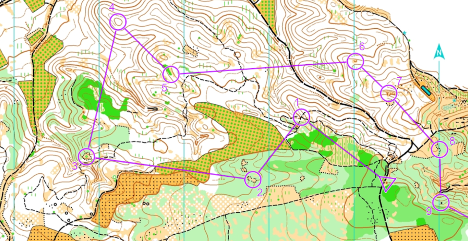 Description of orientation map.