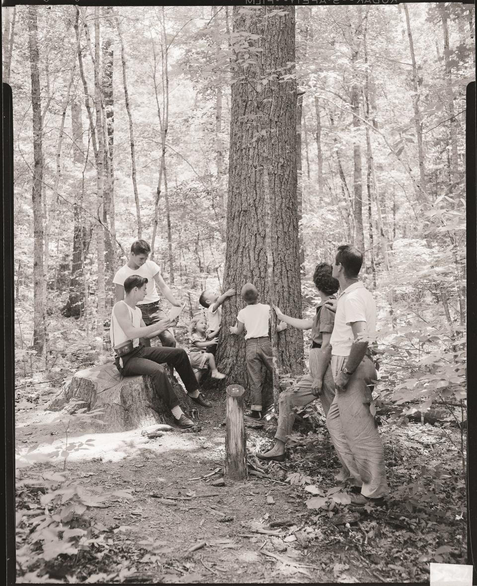 A family enjoys a hike using a self-guiding brochure, one of Henry Lix’s favorite interpretive tools. These brochures referenced numbered signposts, like the one seen here, highlighting interesting features along the trail.
