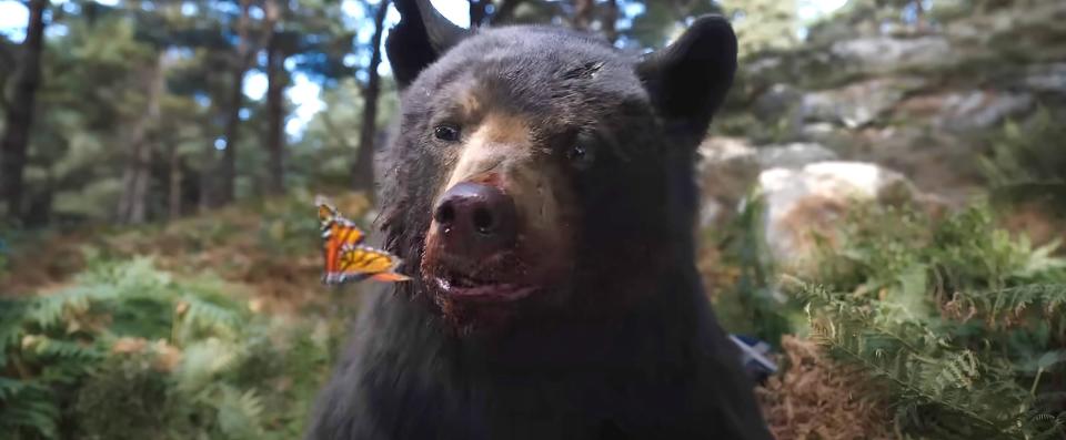 the bear looking at a butterfly in cocaine bear