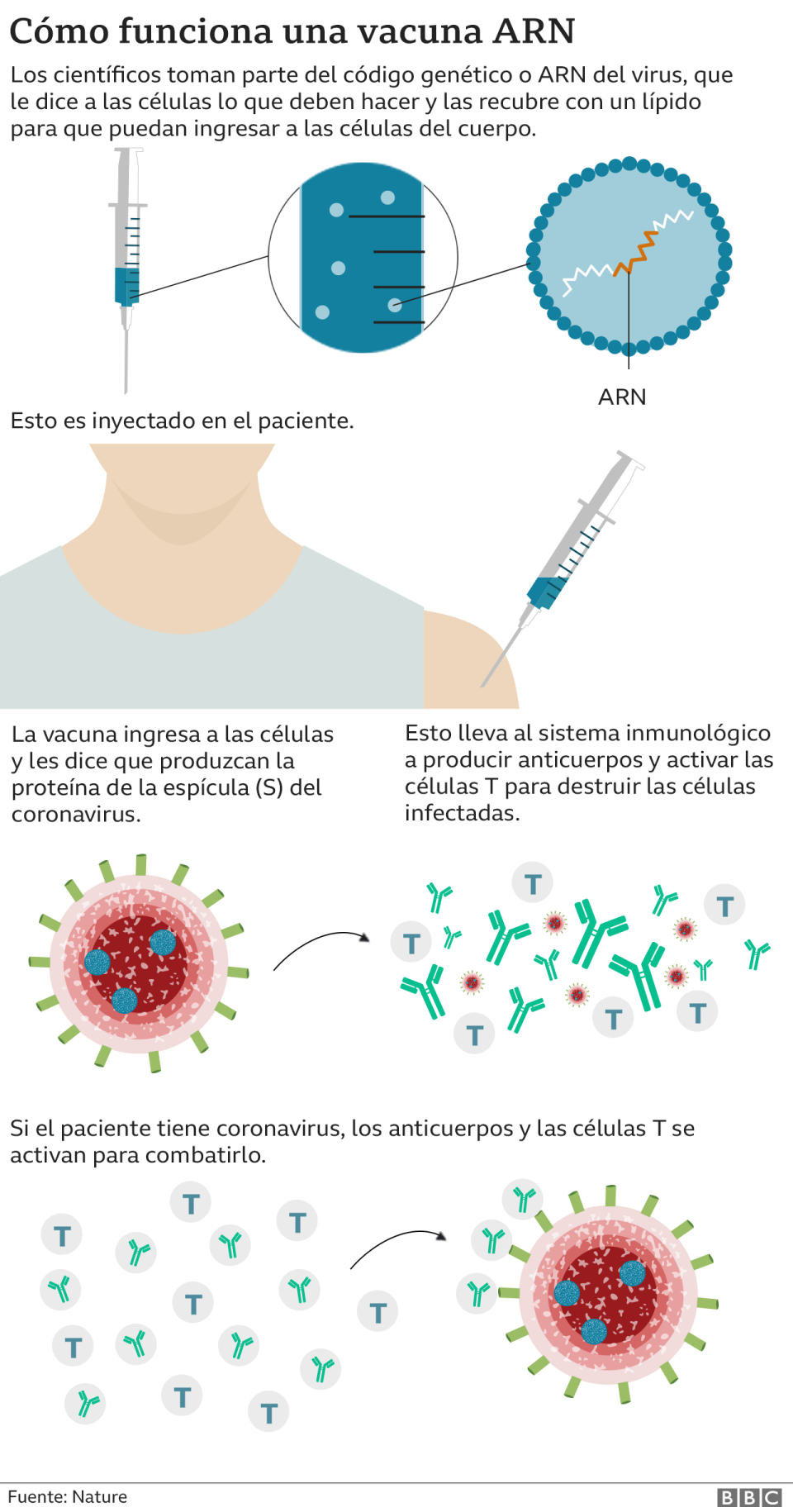 Gráfico sobre la vacuna.