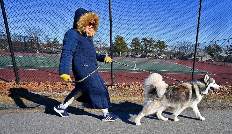 Dalina Boryszewski of Worcester braves the frigid wind chill at Quinsigamond State Park in Worcester to walk her malamute-mix Odin, 3.