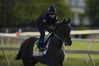 Black-Eyed Susan horse race entrant Willful Woman works out during a training session ahead of the race at Pimlico Race Course, Wednesday, May 12, 2021, in Baltimore. (AP Photo/Julio Cortez)