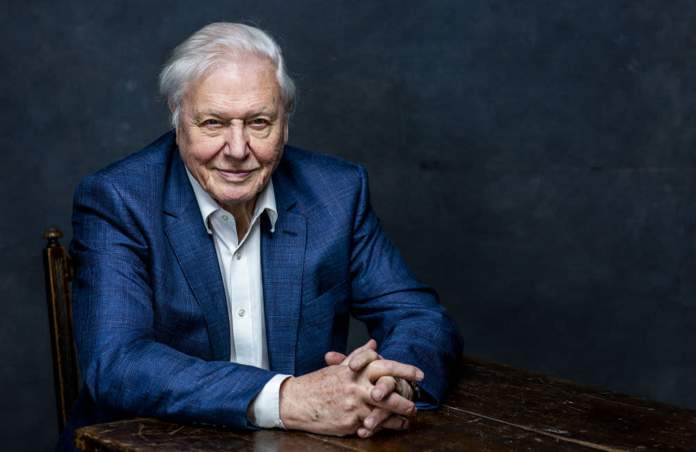 Sir David Attenborough voted Britain’s favourite TV Presenter credit:Bang Showbiz