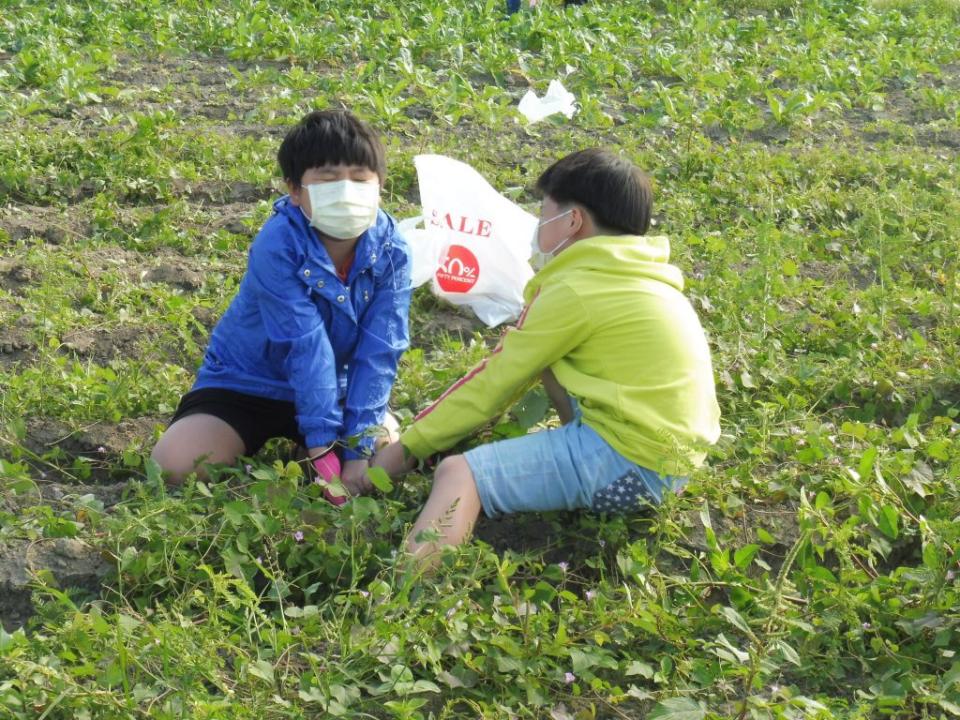 參加拔蘿蔔的小朋友，使盡全身力氣，還是沒能將蘿蔔拔出。(記者盧萍珊攝)