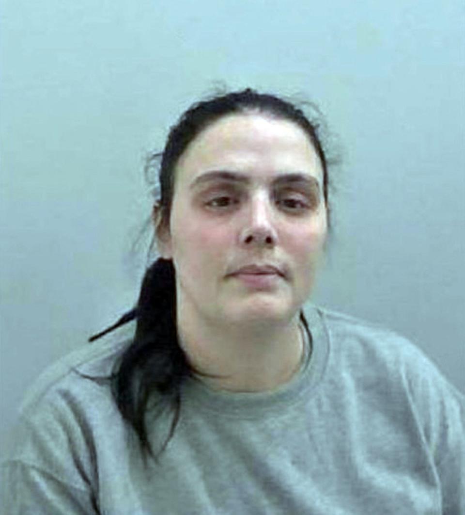 Alfie Steele’s mother Carla Scott was jailed in June last year for 27 years for manslaughter (PA)