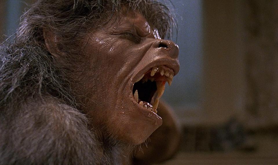 Actor David Naughton transforms into a werewolf in the 1981 comedy horror "An American Werewolf in London."