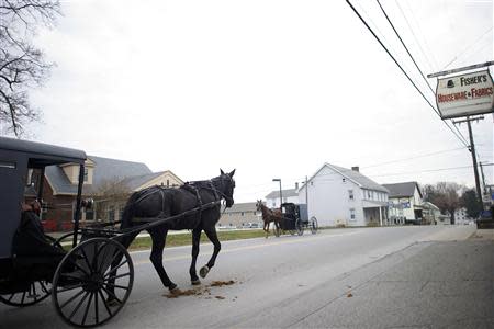 An Amish horse and buggy travels on a road in Bart Township, Pennsylvania December 1, 2013. REUTERS/Mark Makela