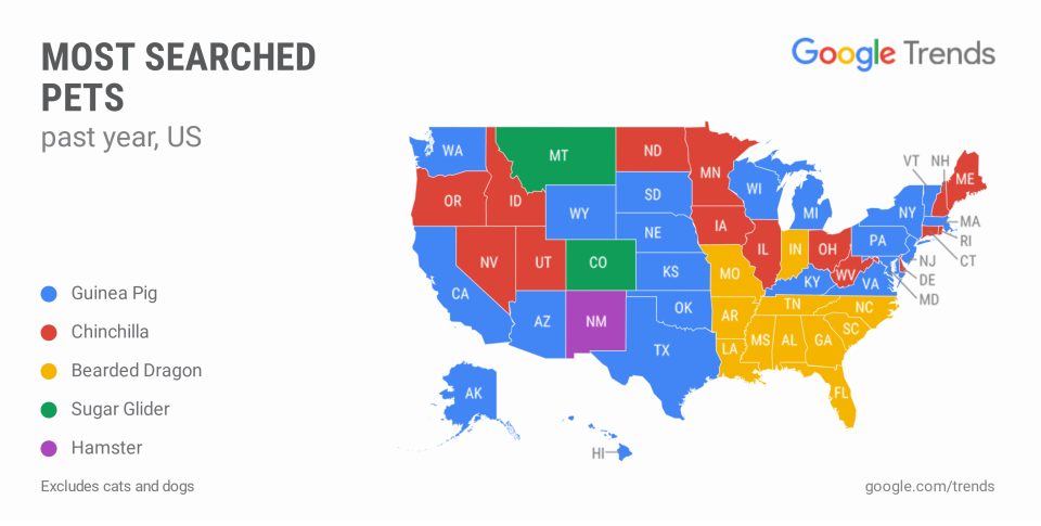 Google Trends shared a map with USA TODAY of some of the most searched pets by state.