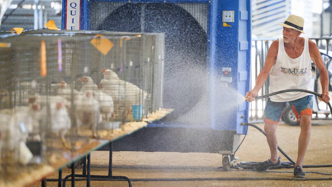 Wallace Melzer sprays water on chickens to help cool them in the heat. The California Mid-State Fair opened Wed. July 19, 2023 in Paso Robles.