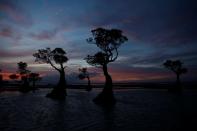 The Wider Image: As crops fail, Indonesia's Sumba seeks lifeline in weaving, fishing