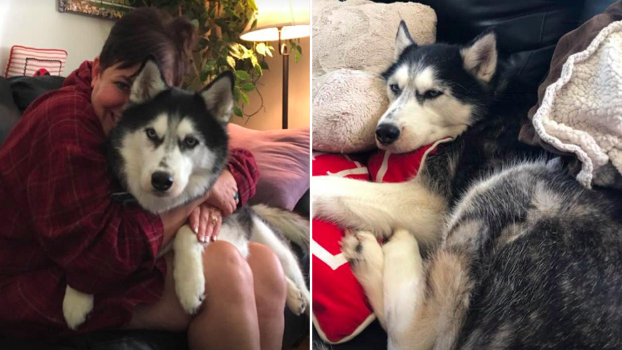 Stephanie Herfel and her Siberian husky, Sierra. (Photo: Stephanie Herfel via Facebook)