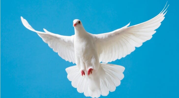 White dove