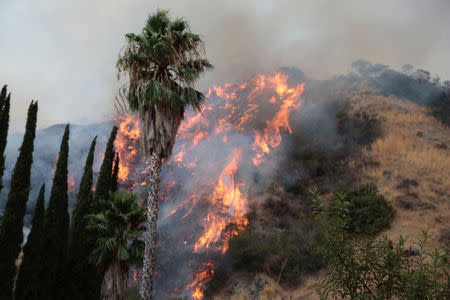 The La Tuna Canyon fire over Burbank, California, September 2, 2017. REUTERS/Kyle Grillot