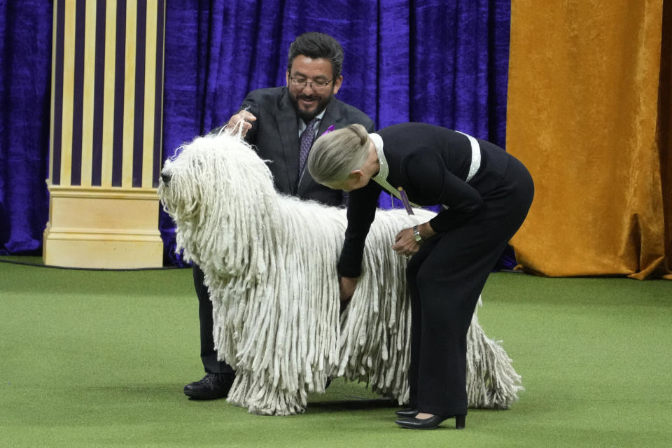 Addie, a Komondor, competes in the working group during the 147th Westminster Kennel Club Dog show, Tuesday, May 9, 2023, at the USTA Billie Jean King National Tennis Center in New York. (AP Photo/Mary Altaffer)