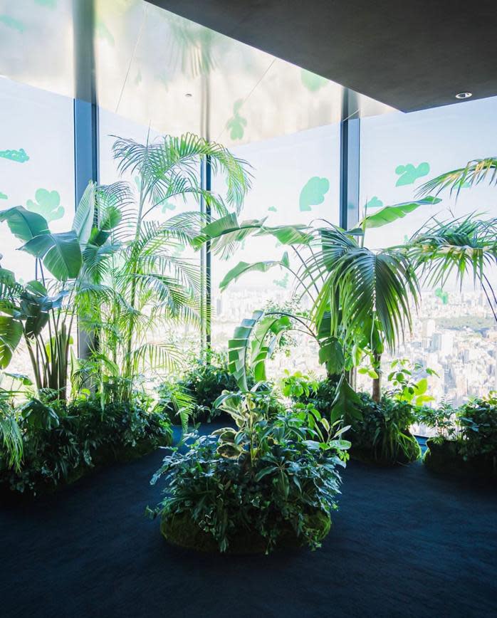 東京旅遊｜涉谷SHIBUYA SKY搖變夏季植物園！229米高空賞超美巨型紙花藝術、懸浮綠色植物