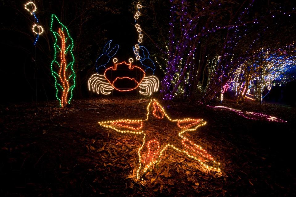 Magic Christmas Lights at Bellingrath Gardens in Theodore, Alabama