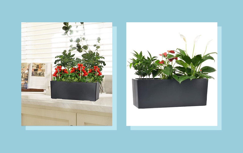 These self-watering boxes only need to be refilled once a week.