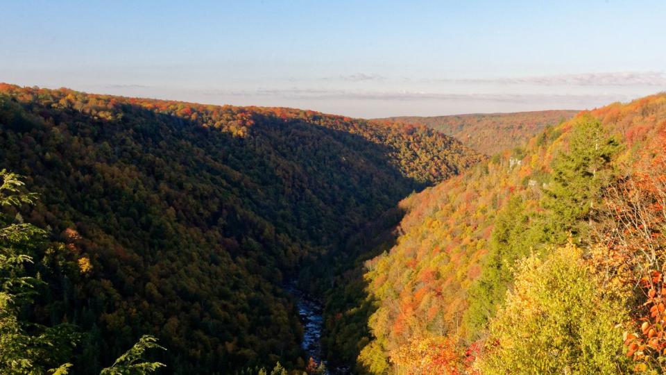 Leaf, Nature, Vegetation, Sky, Natural landscape, Wilderness, Mountainous landforms, Autumn, Tree, Mountain, 