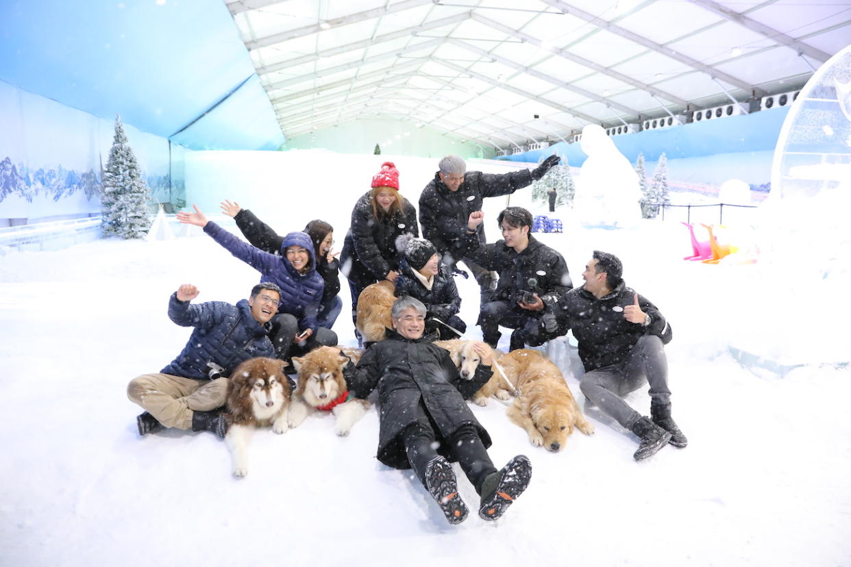 The eagerly awaited winter wonderland will welcome furry companions on back-to-back weekends in January: 13-14 January and 20-21 January.(PHOTO: Ice Magic Bangkok: 4 Paws @ Ice Magic)