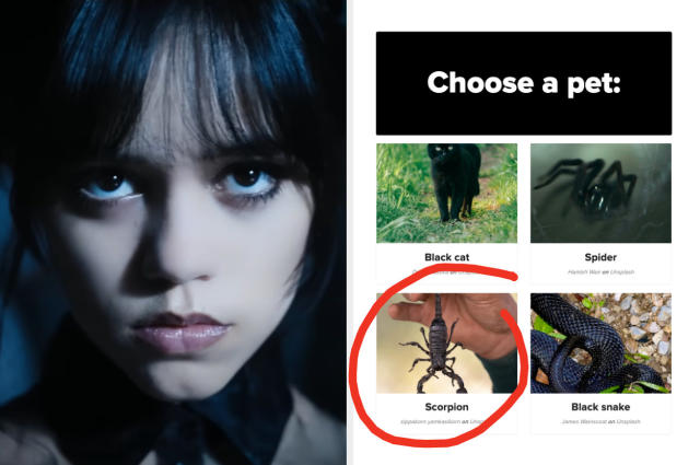 Jenna Ortega Wednesday Cast Take Addams Family Quiz