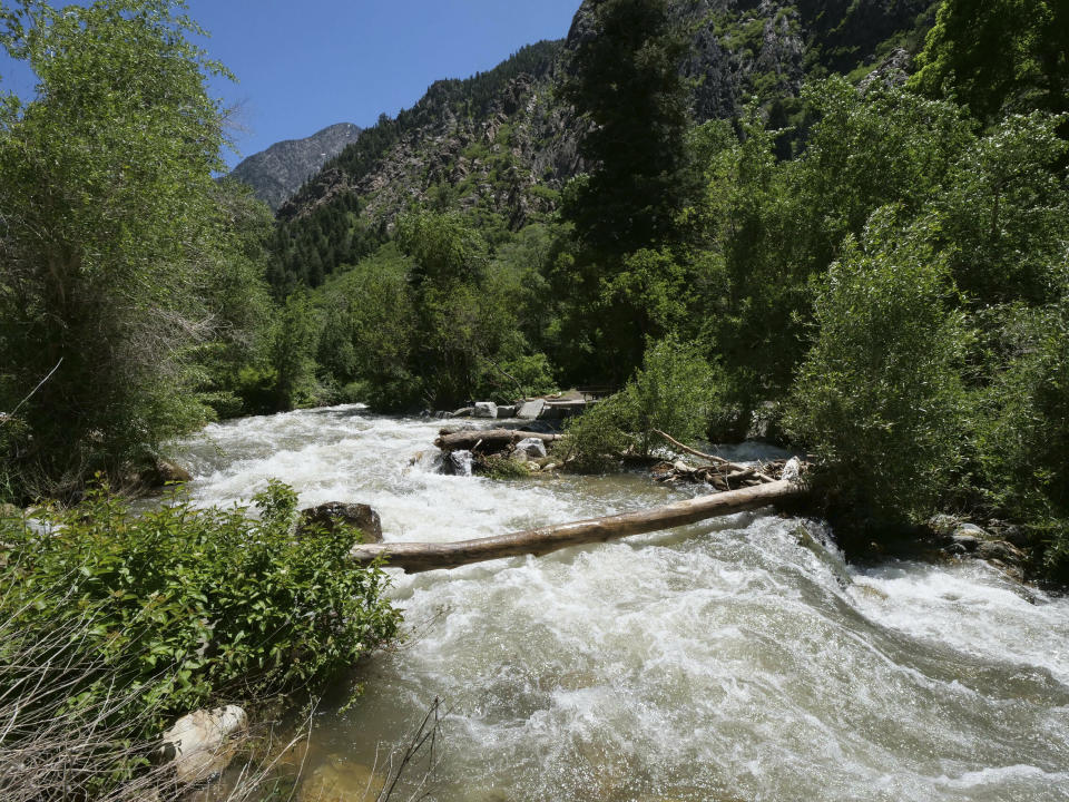 This Monday, June 10, 2019, photo shows the Big Cottonwood Creek, in the Big Cottonwood canyon, near Salt Lake City. The summer's melting snowpack is creating raging rivers that are running high, fast and icy cold. The state's snowpack this winter was about 150 percent higher than the historical average and double the previous year, which was the driest on record dating back to 1874, said Brian McInerney, hydrologist for the National Weather Service in Salt Lake City. Large parts of the Salt Lake City metro area sits near the foothills of the towering Wasatch Range. (AP Photo/Rick Bowmer)
