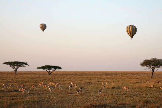 <p>yenwen/Getty Images</p> A hot-air balloon safari over Tanzania.