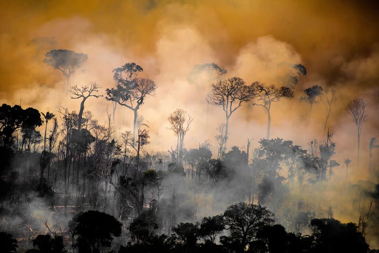 Fenómenos climáticos extremos; Cambio Climático; naturaleza; medio ambiente; incendio; sequías; inundaciones; calor extremo; frío extremo; osos polares; Sociedad; greenpeace