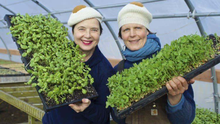 Soul of a Farmer follows Patty Gentry on her Long Island farm and features appearances from Isabella Rossellini.