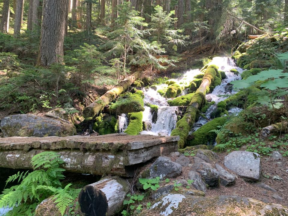 Footbridge over a waterfall between Pamelia Lake and Hunts Cove in the Mount Jefferson Wilderness.