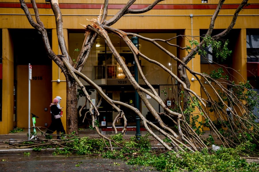 A tree splinter due to extreme winds on Fillmore Street in San Francisco on Sunday, Feb. 4, 2024. As an intense atmospheric river-fueled storm sweeps through California, regions across the state are preparing for serious flooding, power outages and street closures. Heavy rains are expected along with intense winds. (Brontë Wittpenn/San Francisco Chronicle via AP)