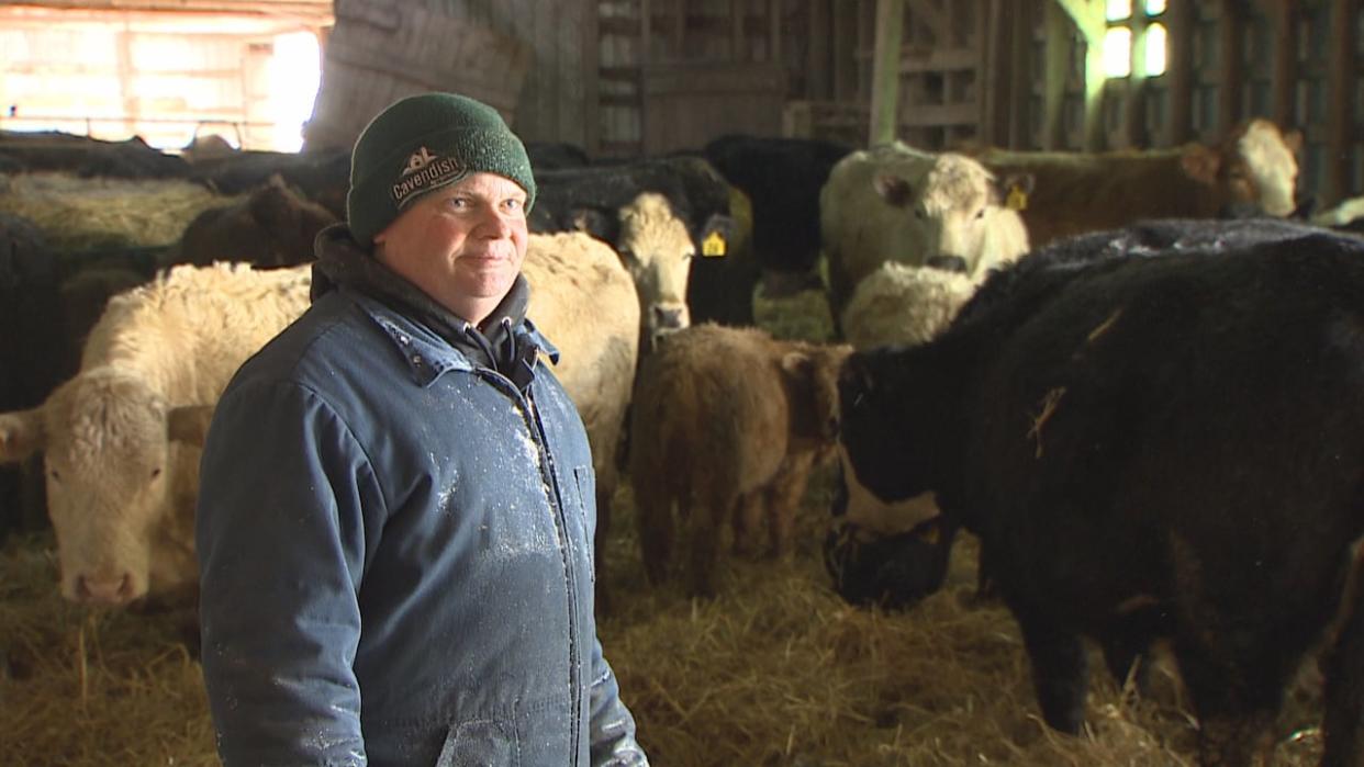 There's a lot of interest in expanding beef farms on P.E.I., says Dennis Hogan, but there's also a lot of barriers. (Shane Hennessey/CBC - image credit)