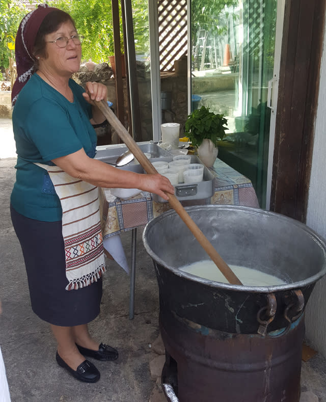 Mrs Sofia making halloumi, Letymbou