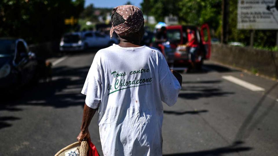 Dans l’affaire du chlordécone aux Antilles, les juges d’instruction ont prononcé un non-lieu définitif (Photo&nbsp;: Une femme porte un T-shirt avec le slogan «&nbsp;Tous contre le chlordécone&nbsp;» en Guadeloupe en novembre&nbsp;2021).