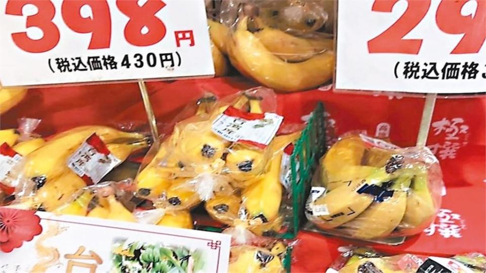 烏龍香蕉外銷日本價格佳