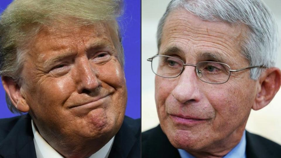 Trump y Fauci.