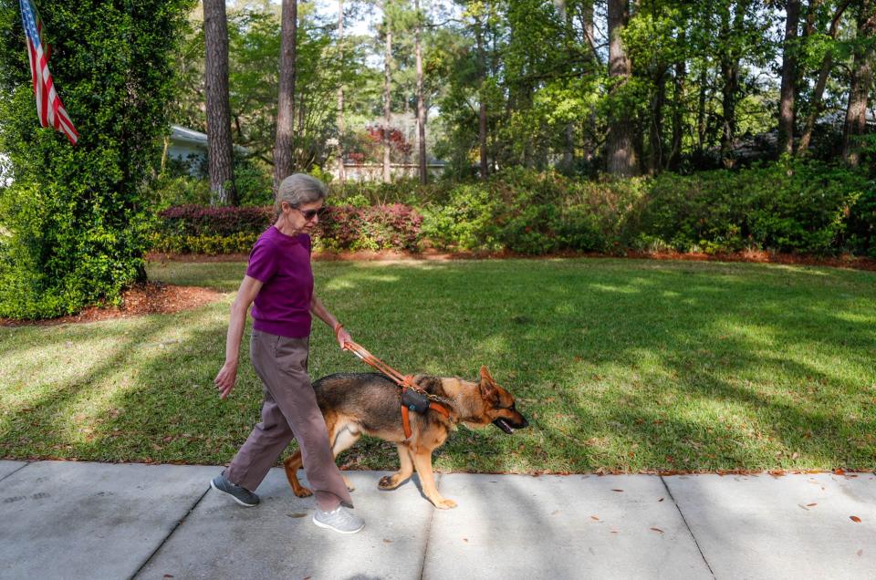 Marj Schneider walks along a sidewalk with her new guide dog.