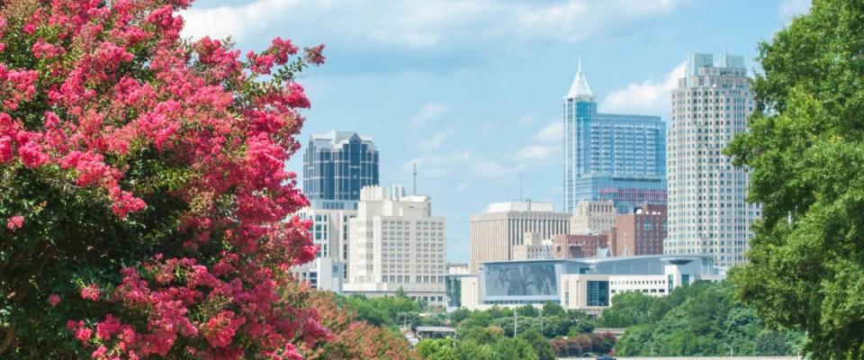 Raleigh skyline in the summer with crepe myrtle trees in bloom