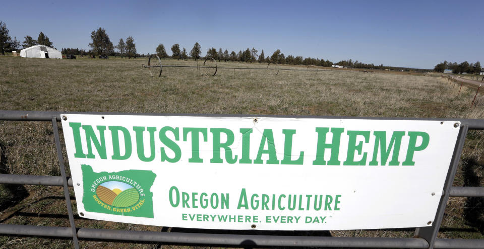 FILE - In this April 23, 2018 file photo, a sign designates the type of crop grown in a field as it stands ready to plant another hemp crop for Big Top Farms near Sisters, Ore. Sens. Ron Wyden and Jeff Merkley on Tuesday, Jan. 15, 2019, urged the head of the U.S. Food and Drug Administration to update federal regulations to permit interstate commerce of food products containing a key non-psychoactive ingredient of cannabis. (AP Photo/Don Ryan, File)