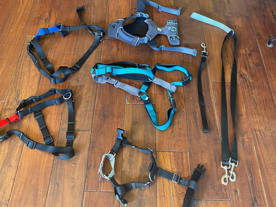 Seven no-pull dog harnesses that we tested are laid out on a wood floor for our guide to the best no-pull dog harnesses.