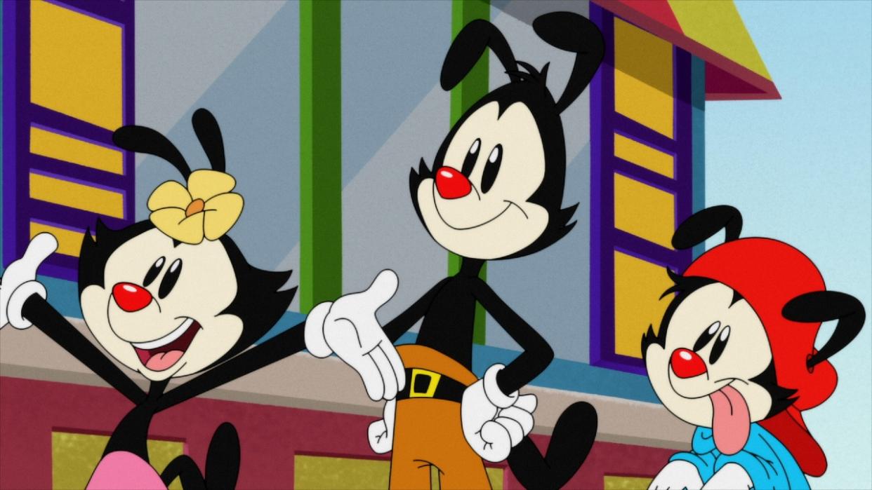  Dot, Yakko and Wakko on Animaniacs 