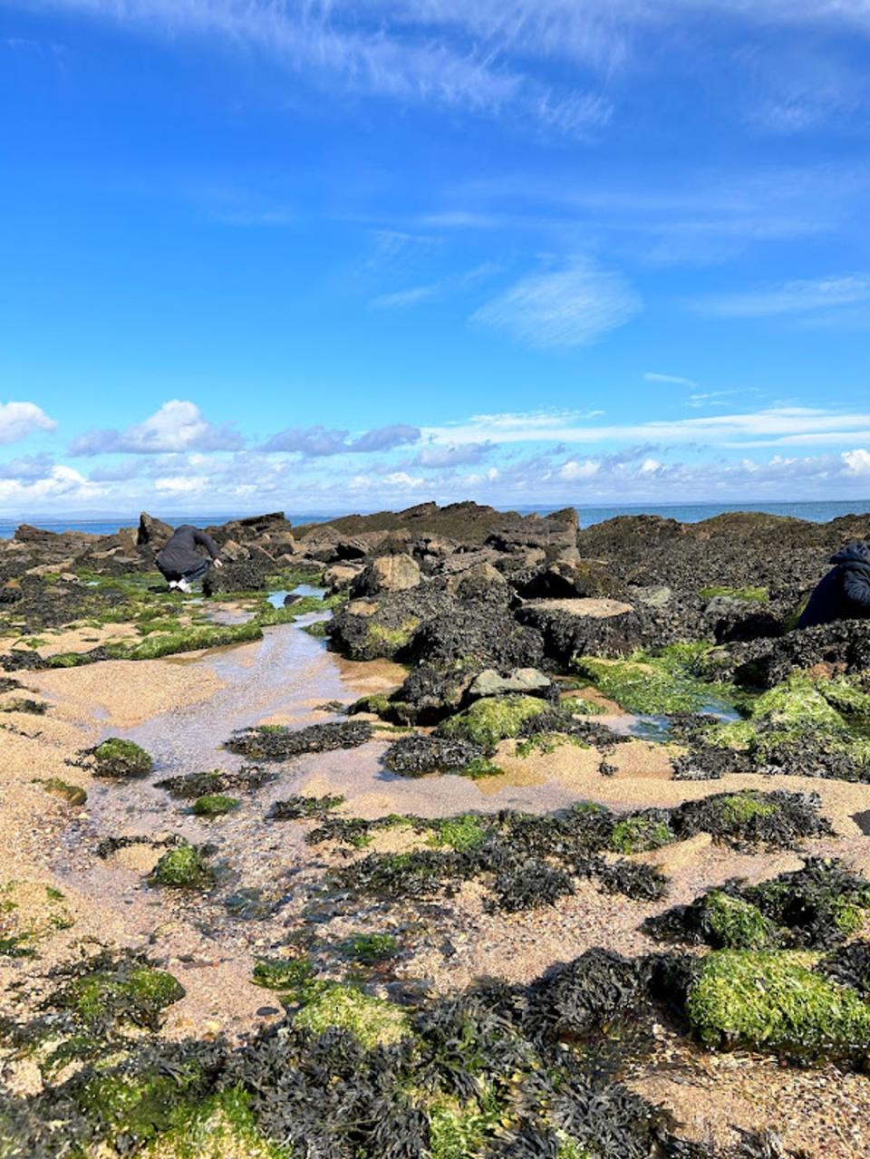 Fife Coastal Path (Lucy Tobin)