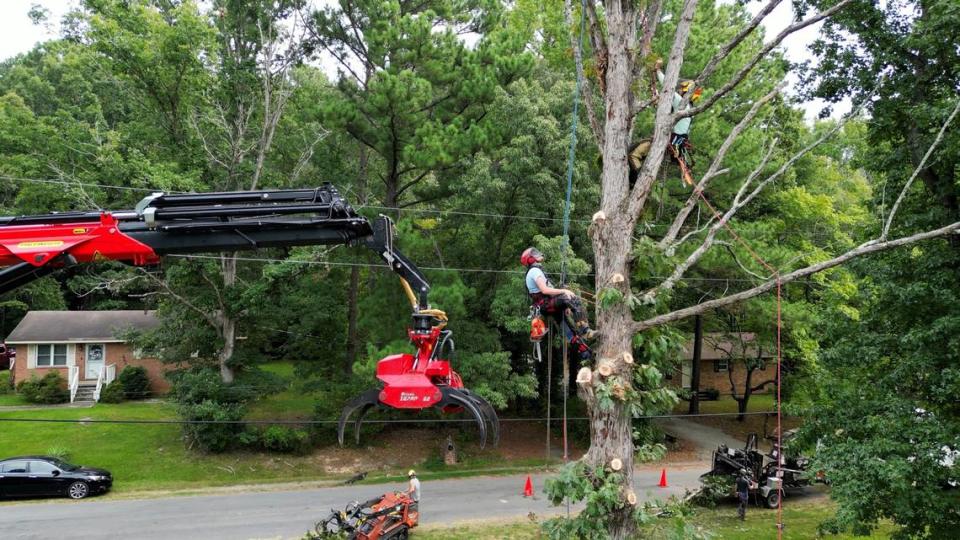 Treeist tree service workers use a variety of equipment to trim branches and limbs, take down trees and load the logs into chipper machines or onto trucks to be transported off a job site.