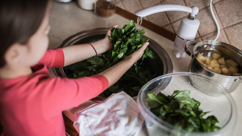 Child washing spinach in sink