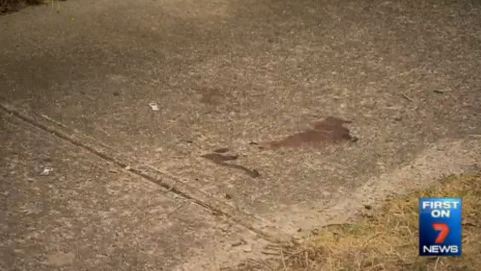 Mr Edwards' blood remains on the footpath where he was struck by the dirt bike. Photo: 7 News