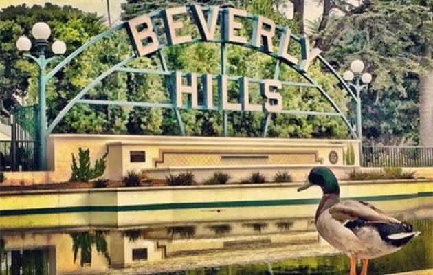 The famous Beverly Hills sign